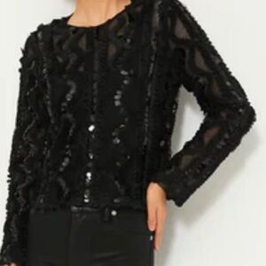 Hyacinth House Black Sheer Sequined Long Sleeve Sutton Blouse Size s